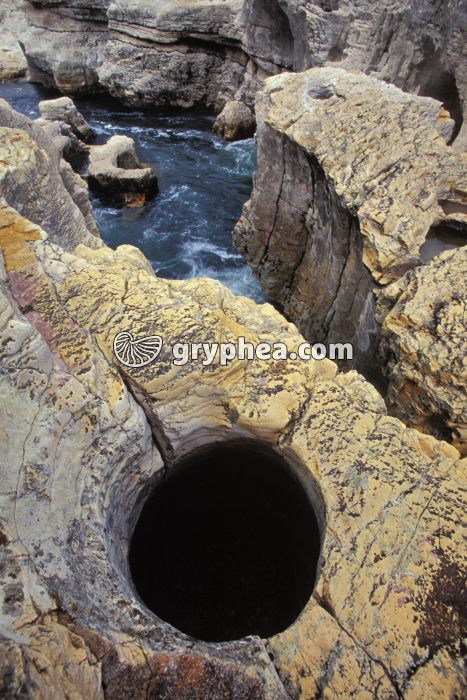 Marmite de géant (Cèze) - gryphea.org